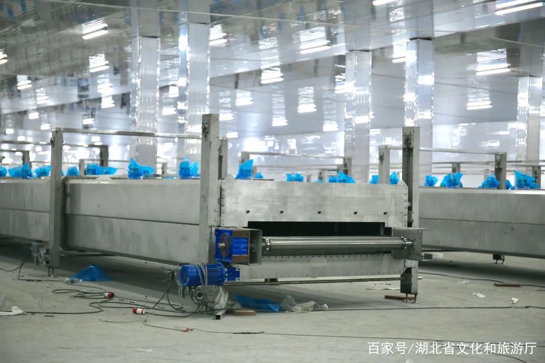 k8凯发集团：抓好生长“牛鼻子” 推动项目“虎年红”